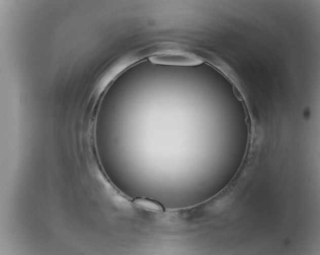 X0000112810909200908281504