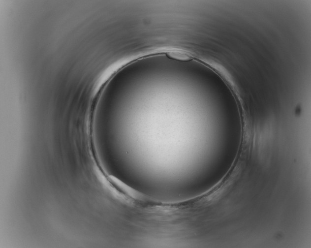 X0000112810910200908281504