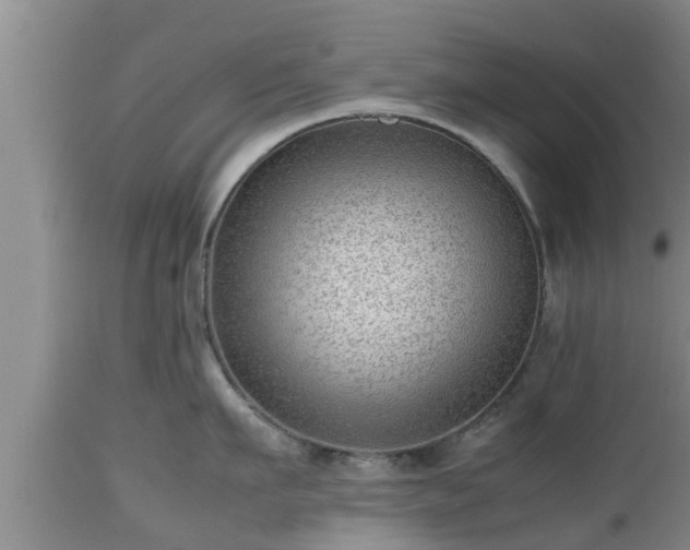 X0000112810911200908281504