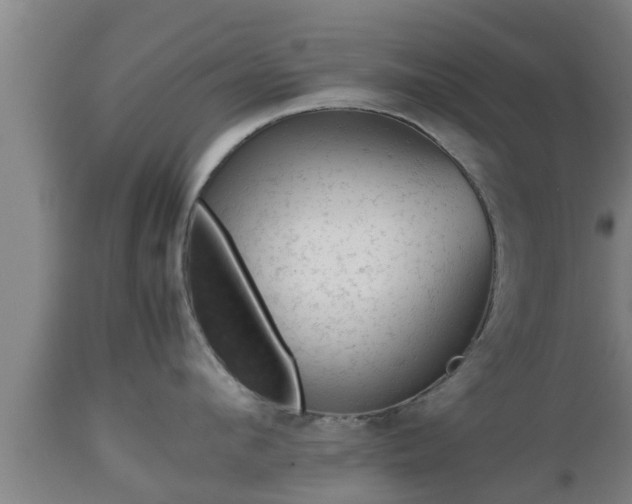 X0000112810912200908281504