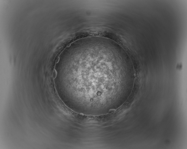 X0000112810913200908281503