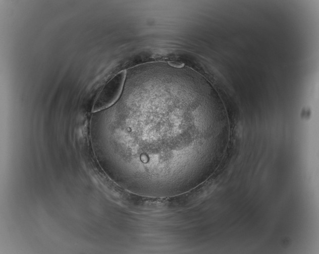 X0000112810914200908281503