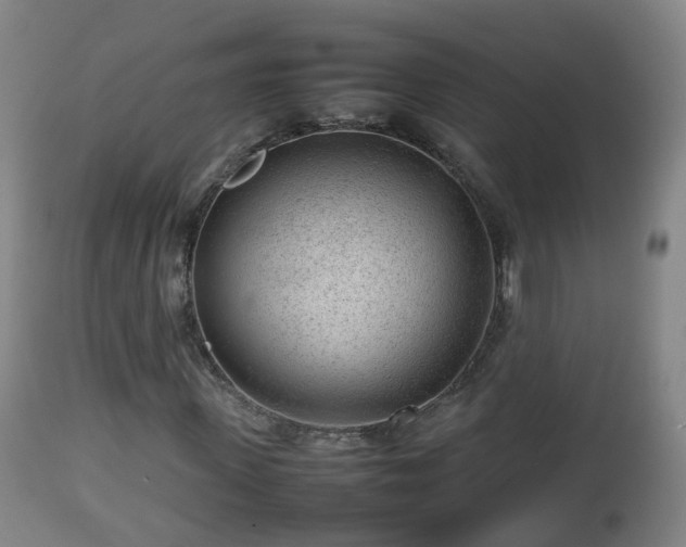 X0000112810915200908281503