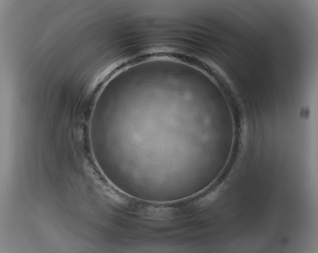 X0000112810921200908281503