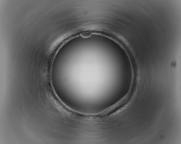X0000112810922200908281503