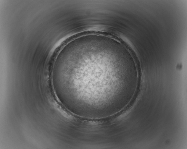 X0000112810923200908281503