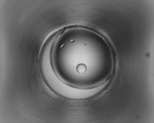 X0000112810924200908281504