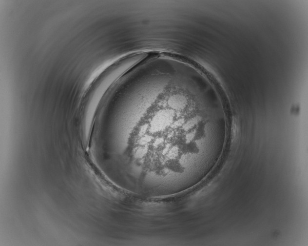 X0000112810925200908281504