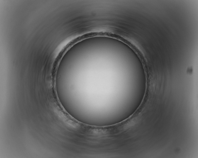 X0000112810927200908281504