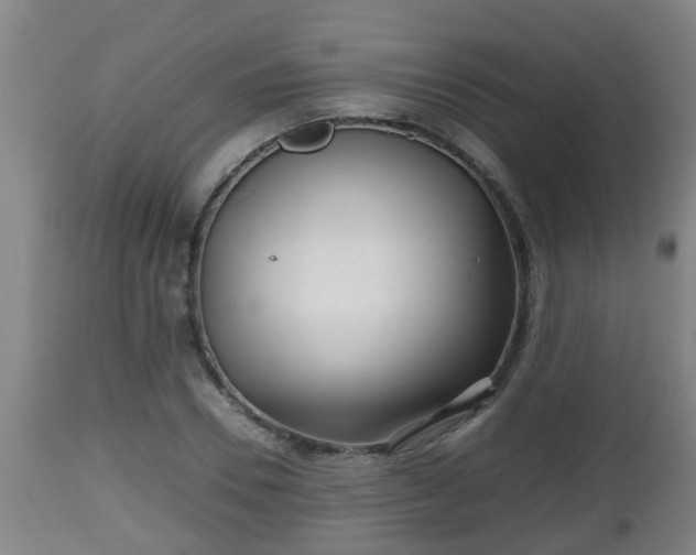 X0000112810930200908281504
