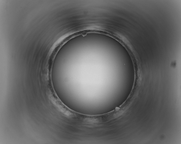 X0000112810931200908281504