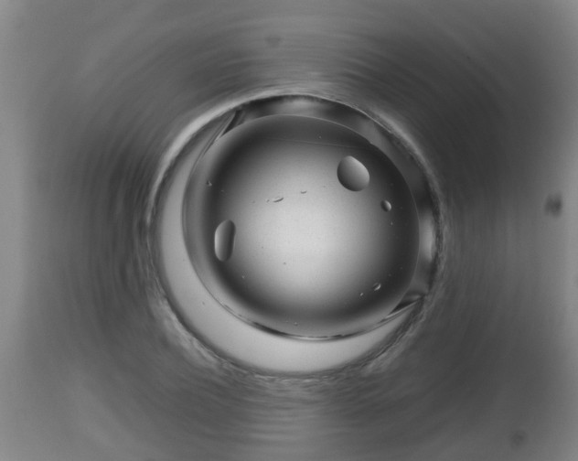 X0000112810932200908281504