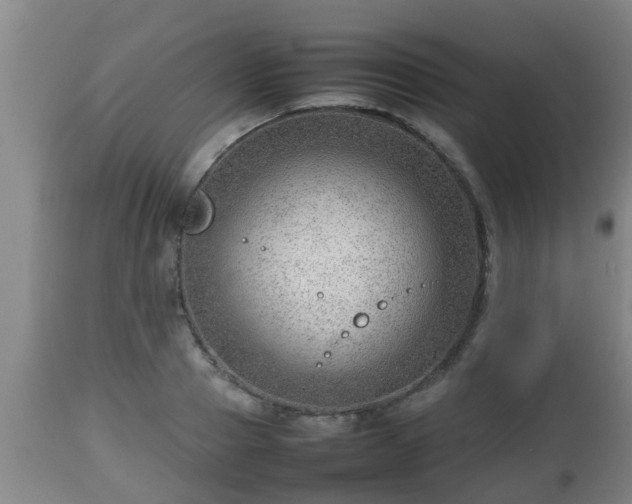 X0000112810937200908281504