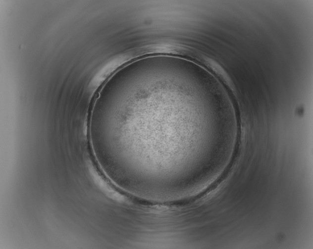 X0000112810938200908281504