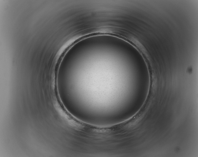 X0000112810939200908281504