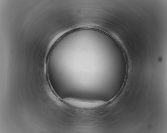 X0000112810940200908281504