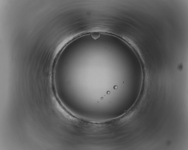 X0000112810941200908281504
