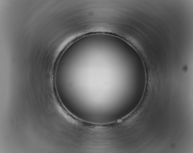X0000112810942200908281504