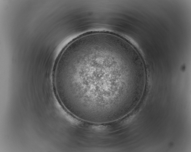 X0000112810943200908281504