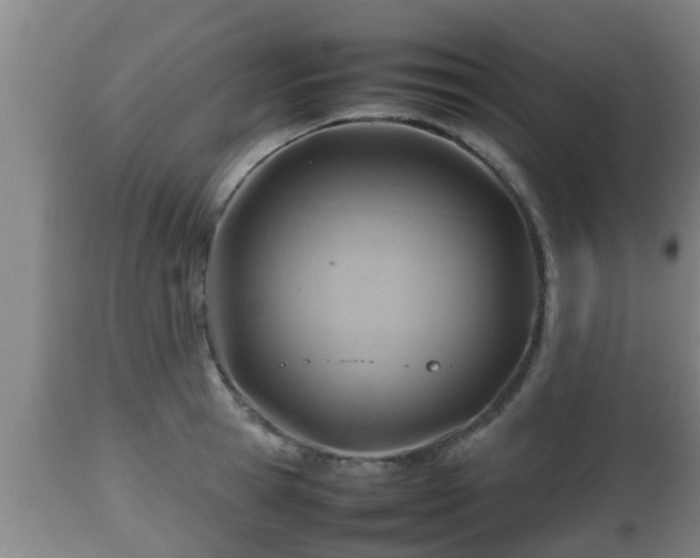 X0000112810945200908281504