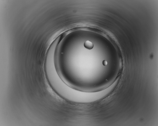 X0000112810946200908281504