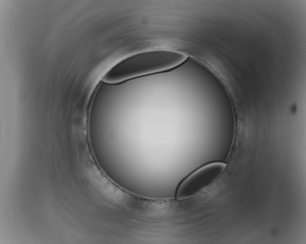 X0000112810948200908281504