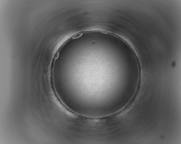 X0000112810949200908281504