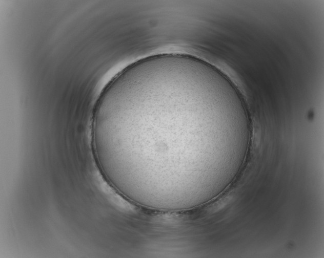 X0000112810950200908281504
