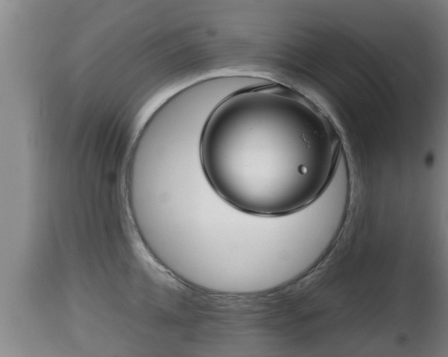 X0000112810952200908281504