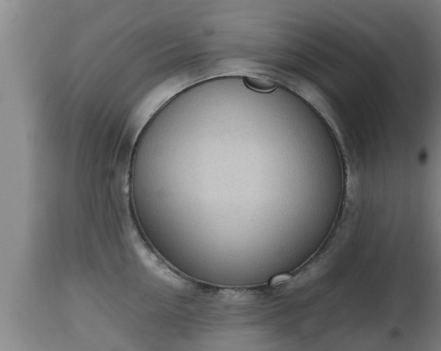 X0000112810954200908281504