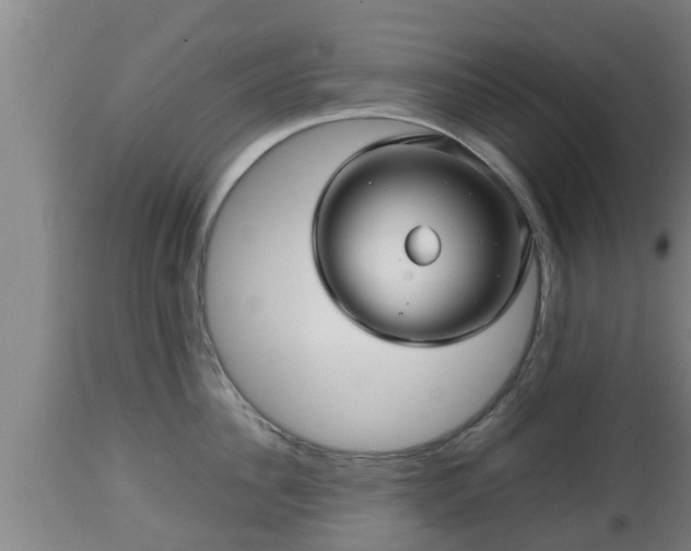 X0000112810956200908281504