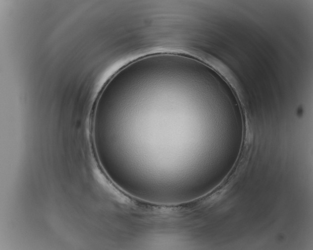 X0000112810958200908281504