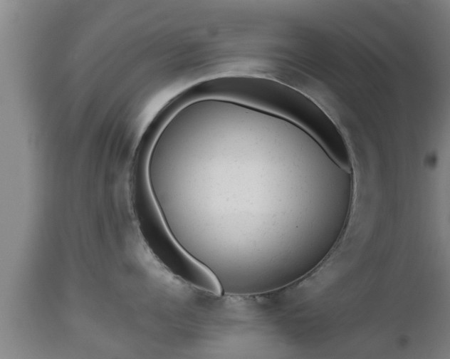 X0000112810960200908281504