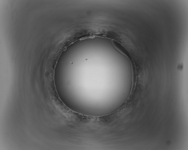 X0000112810961200908281503