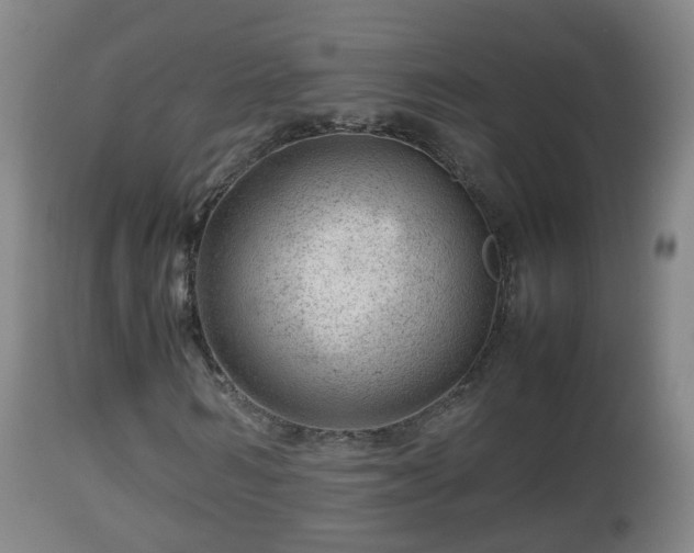 X0000112810962200908281503