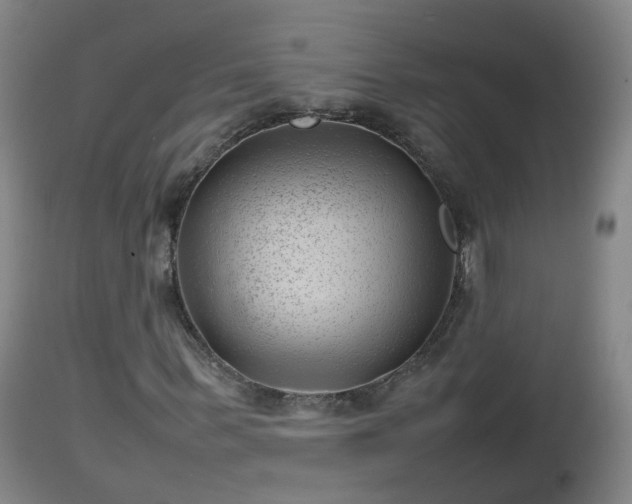 X0000112810963200908281503