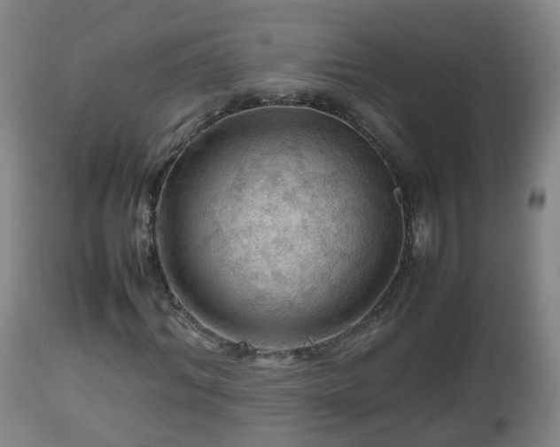 X0000112810964200908281503