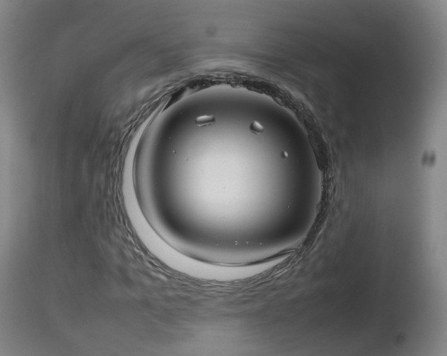 X0000112810965200908281503