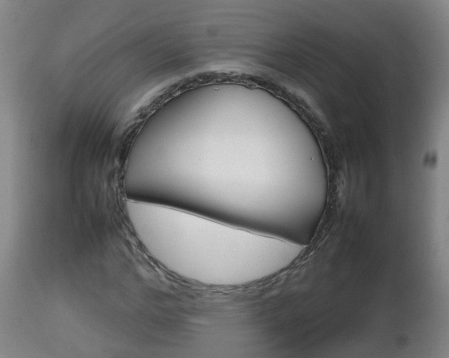 X0000112810968200908281503