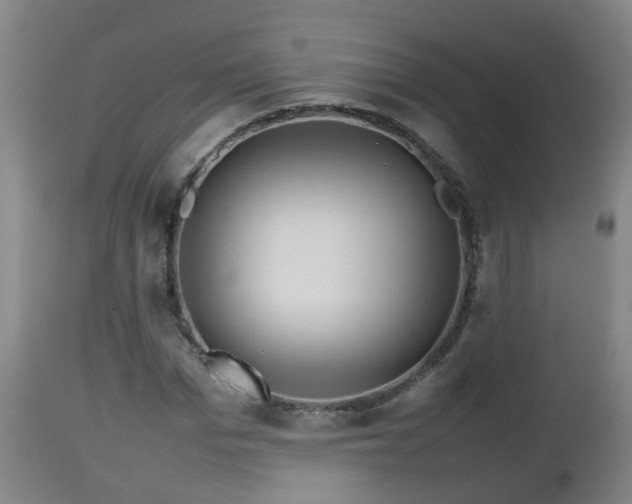 X0000112810969200908281503