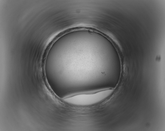 X0000112810972200908281503