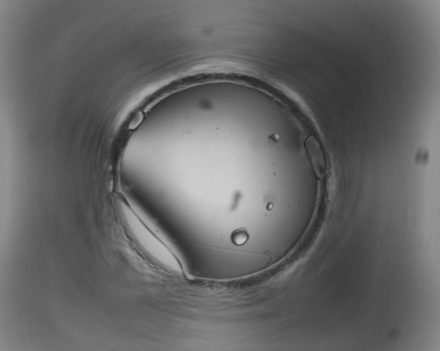 X0000112810973200908281503