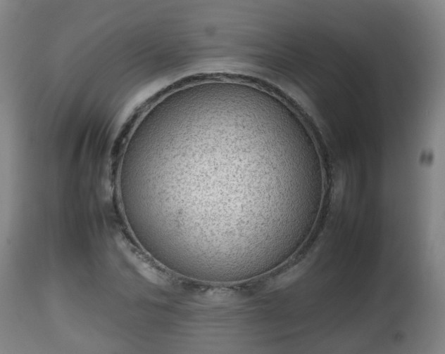 X0000112810974200908281503