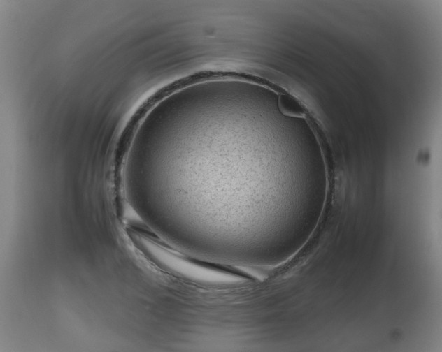 X0000112810976200908281503