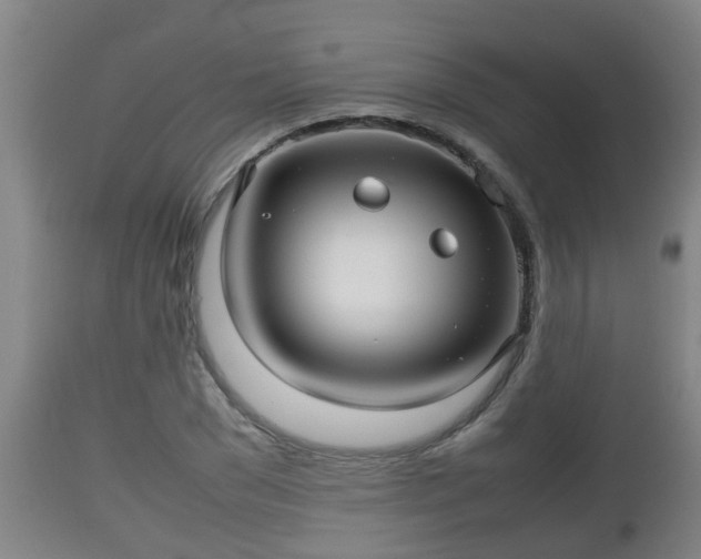 X0000112810977200908281503