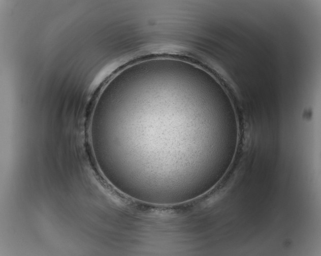X0000112810978200908281503