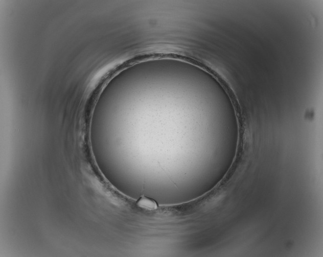X0000112810979200908281503