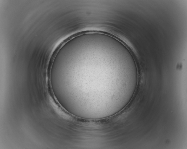 X0000112810980200908281503