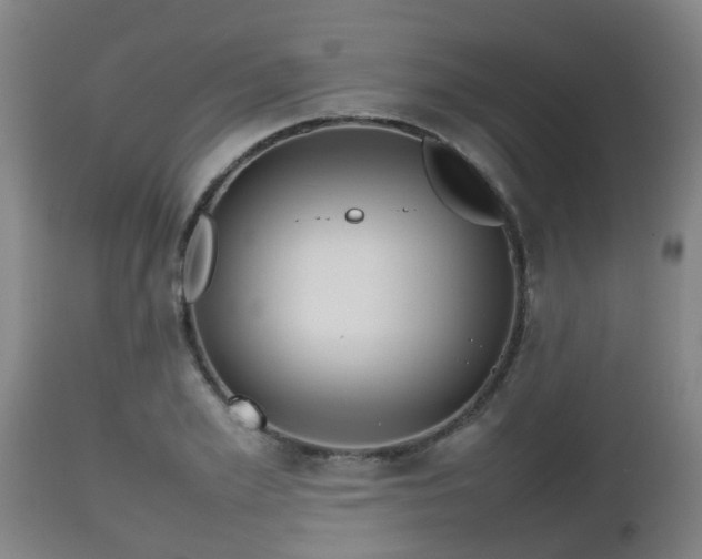 X0000112810981200908281503