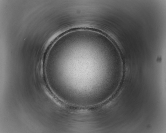 X0000112810982200908281503
